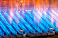 Dalchreichart gas fired boilers